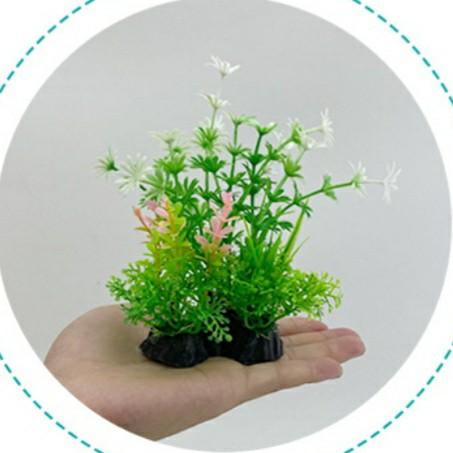 Product detail media - 2