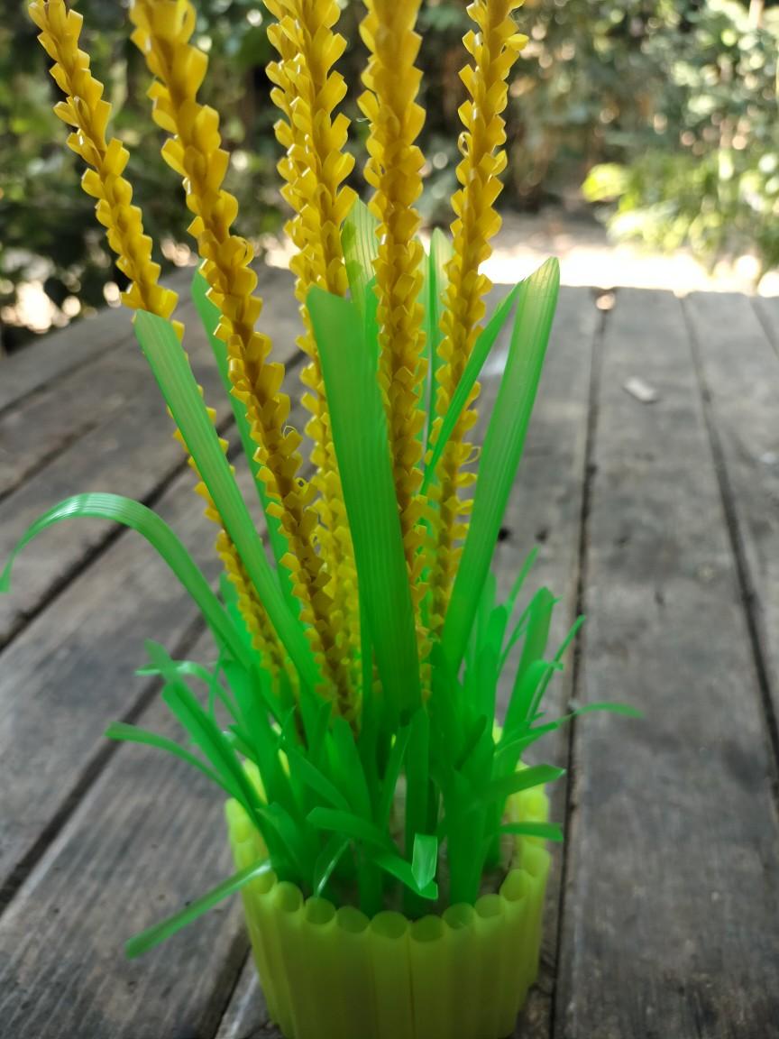 Product detail media - 1