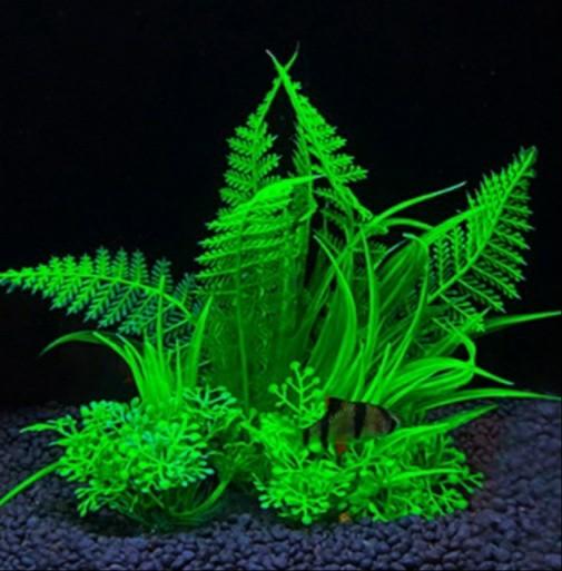 Product detail media - 1