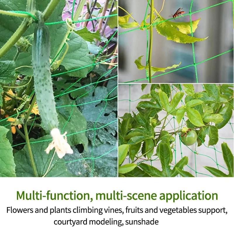 Product detail media - 2