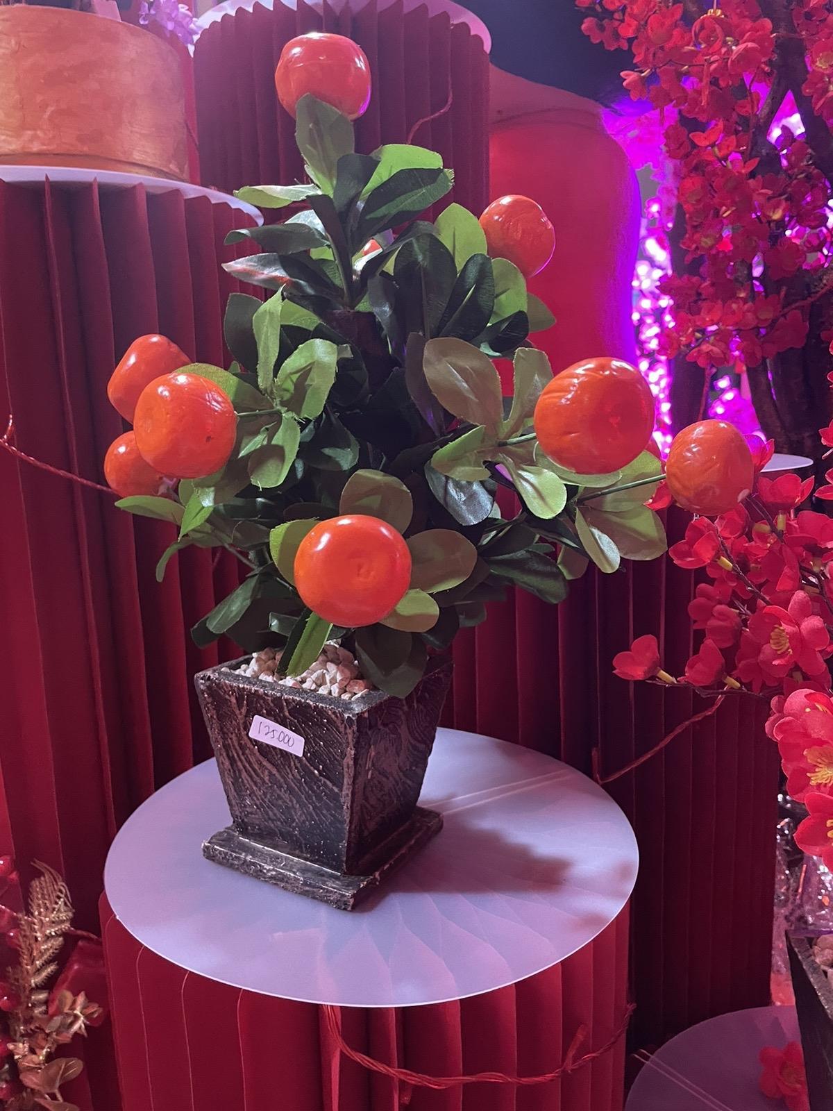 Product detail media - 2