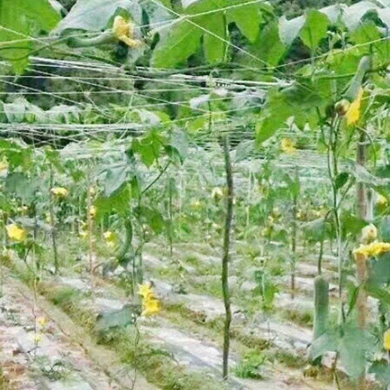 Product detail media - 2